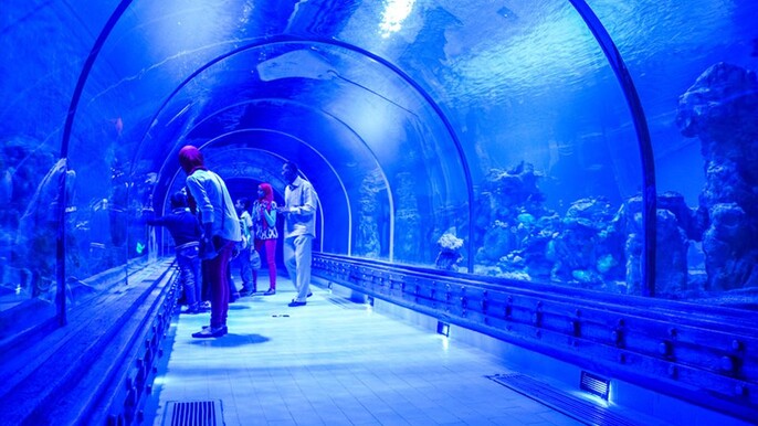Get the Best Hurghada Grand Aquarium Tickets