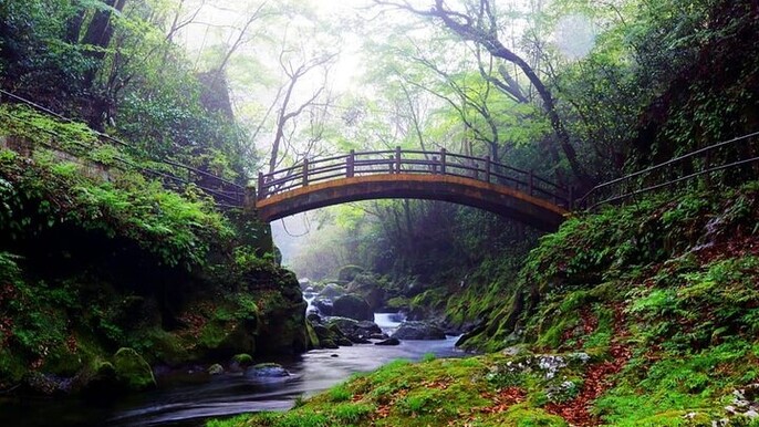 Day Tour to Miyazaki Takachiho Gorge & Shrine depart from Fukuoka