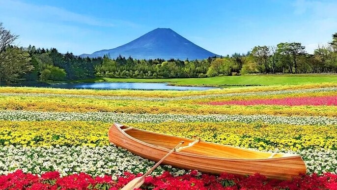 Mt. Fuji & Kawaguchiko Flower Viewing Tour (with Free Kusa Mochi)