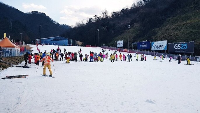 Nami Island + Ski Tour