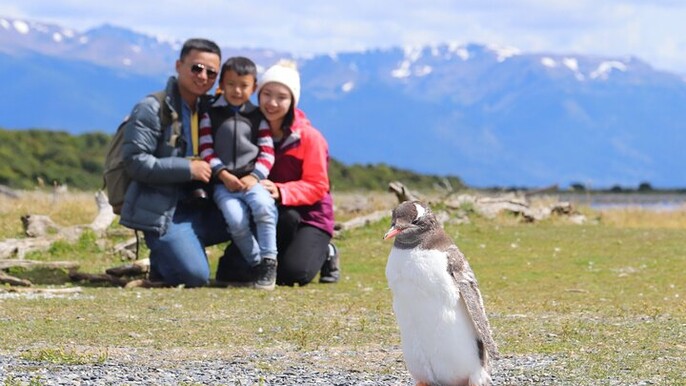 Ushuaia Half-Day Tour Beagle Canal Walking Among Pinguins