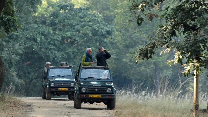 Safari in Bandhavgarh, Kanha, Pench & Tadoba National Parks