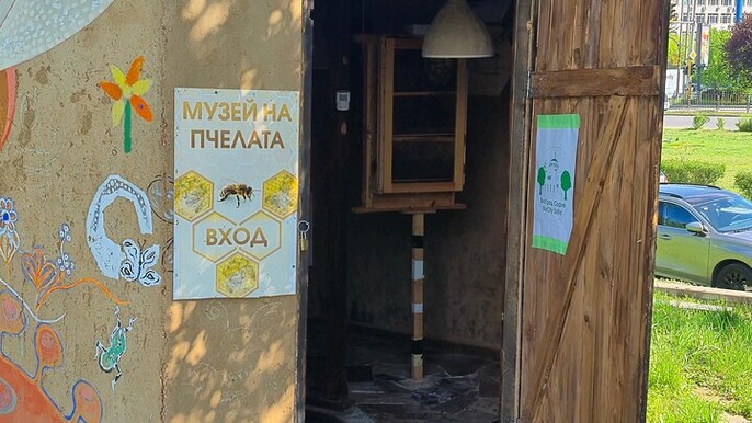 Honey Wine Drink in Stunning  Art Beehive Installation