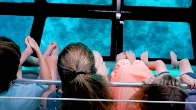 Water Skiing with Glass Boat Viewing and Transfer–Sharm El Sheikh