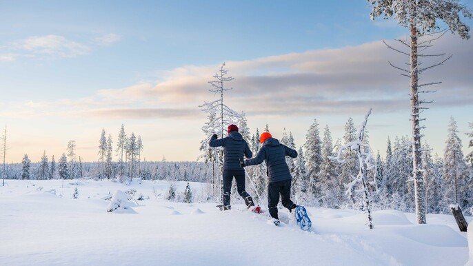 Snowshoe adventure in the Wilderness