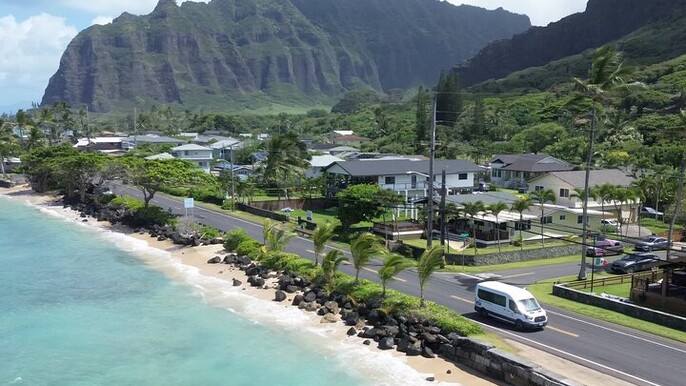 Stunning Views of Oahu! Half-Day to North shore on a Scenic Tour