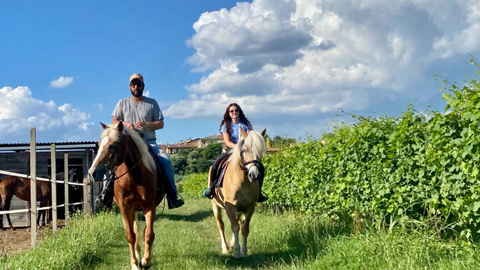 Horseback riding with wine and food tasting in Lazise countryside