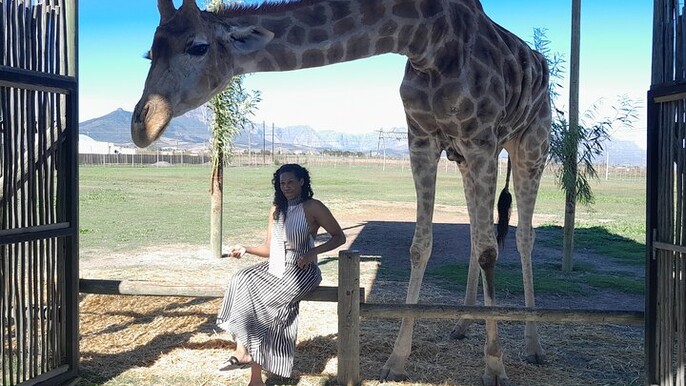 Cape Town Giraffe House Big Cats Encounter and Wine Tasting
