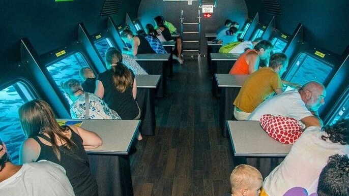 2 Hours Semi Submarine Tour With Transfer from Sharm El-Sheikh