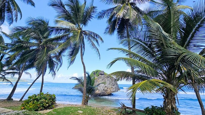 Barbados Private Island Tour: A Fully Customizable Experience