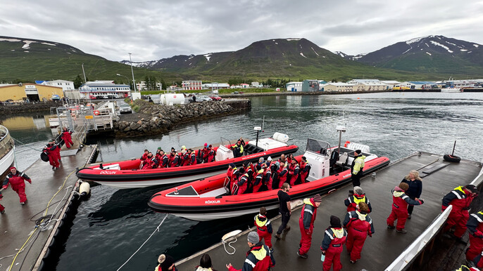 Express Whale Watching From Dalvík