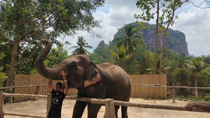 Experience Krabi Elephant care and bath in Ao Nang