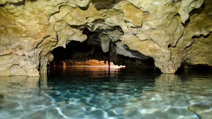 Cenotes Express Tour: 4 Breathtaking Cenotes in the Mayan Jungle