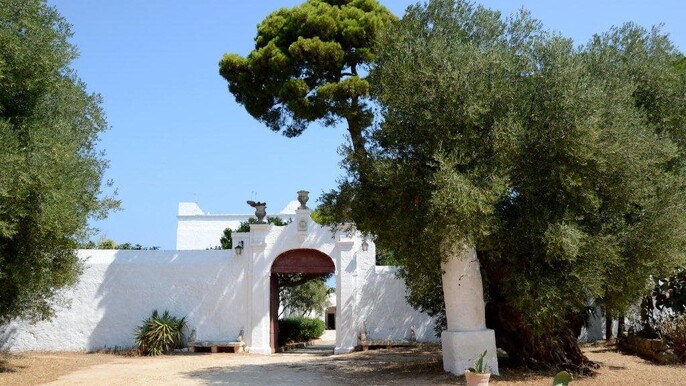 Extra-Virgin Olive Oil Tasting in a Farmhouse
