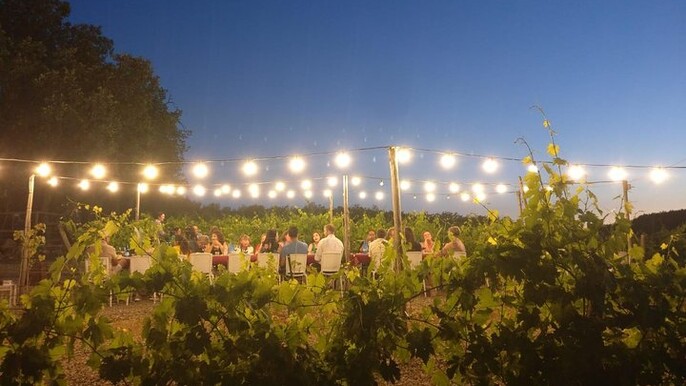 Dinner in the Vineyards