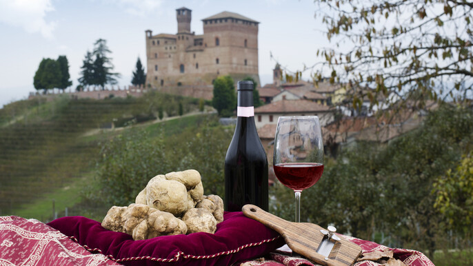 Private Truffle Experience