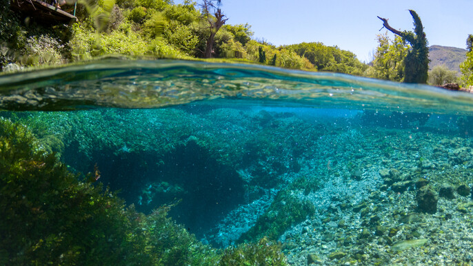 Day trip to the National Park of "Blue Eye" Small Group - from Saranda