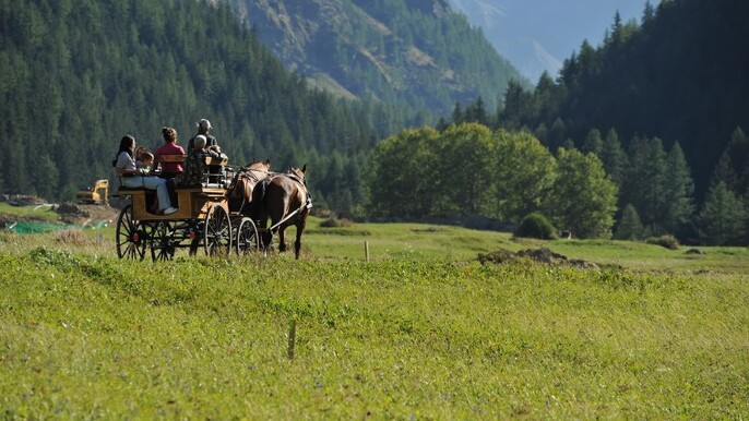 In sleigh or horse-drawn carriage in the Gran Paradiso Park from Aosta