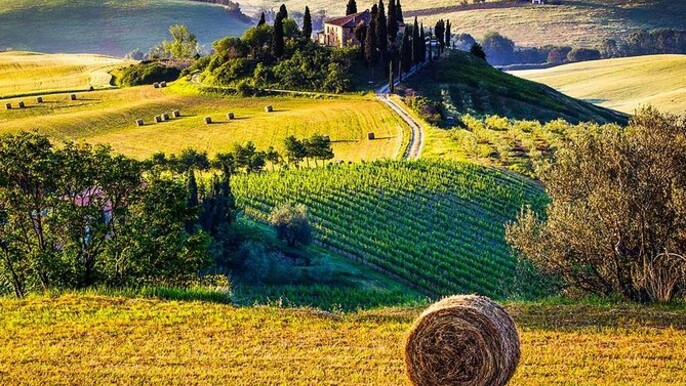 Tuscany Wine & Hills from Florence