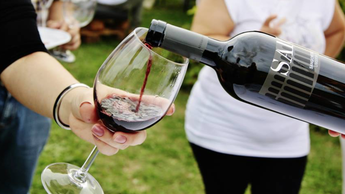 Aperitif and guided wine tasting in Assisi