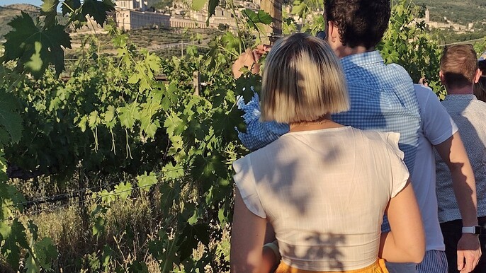 Lunch in Assisi with wine tasting
