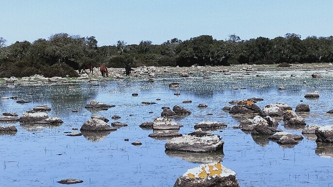 The Unesco site of Barumini and the Giara of Gesturi