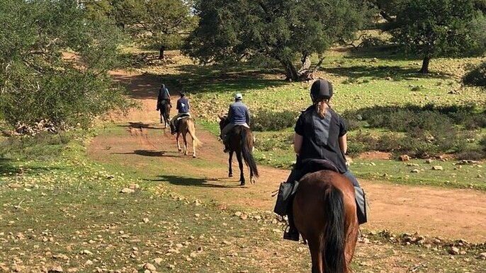 2-Hour Horse Riding Adventure with Delicious Lunch – Agadir