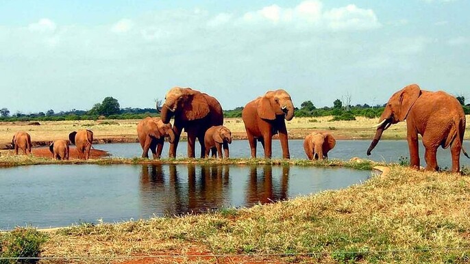 Overnight Private Safari to Severin Camp from Nairobi