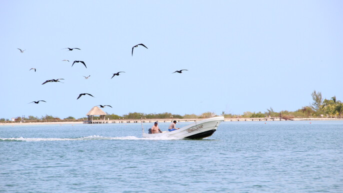 Holbox Full Day Tour with Pick Up and Lunch
