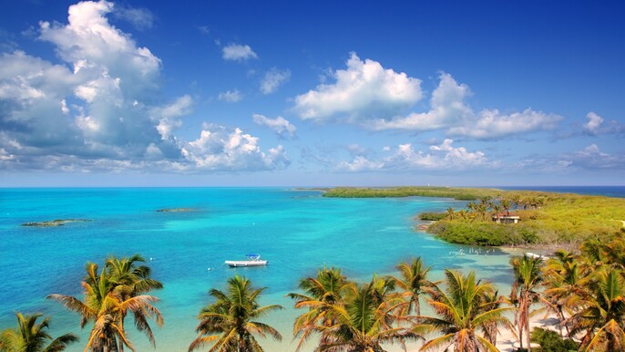 Snorkeling Experience at Contoy Island and Isla Mujeres