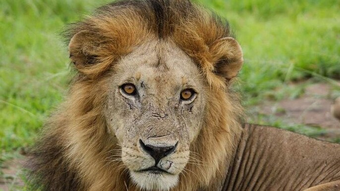 Dar es Salaam 3-Day Private Adventure