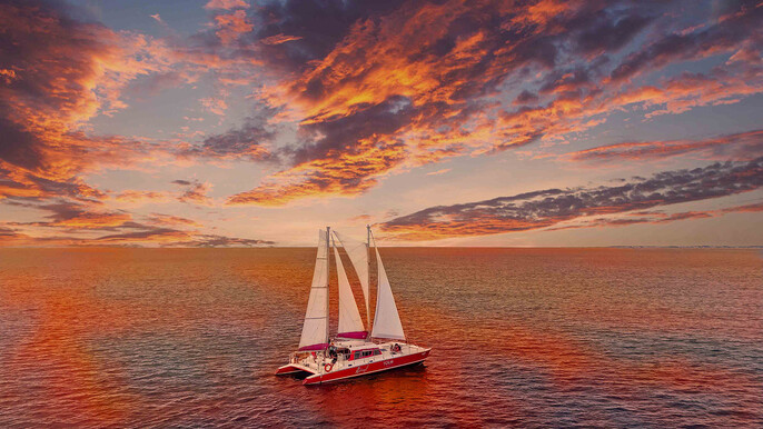 Sunset Sail Cruise to Boca Catalina with BBQ Dinner