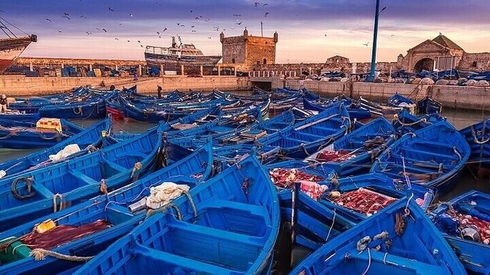 Charming Essaouira, Day Adventure & Historical Wonders - Agadir