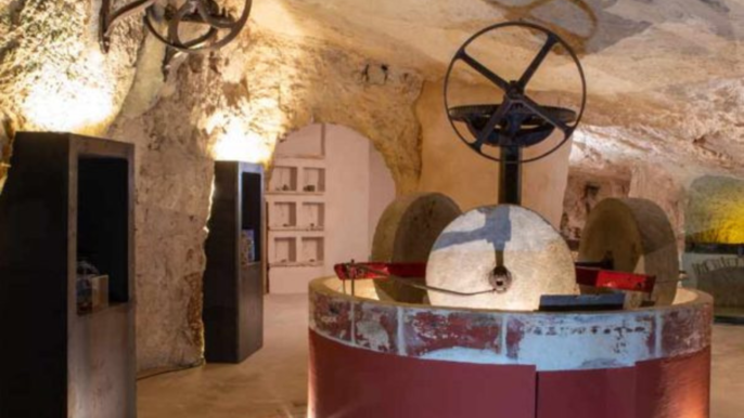 Underground Olive Mill Tour & Tasting near Alberobello & Ostuni