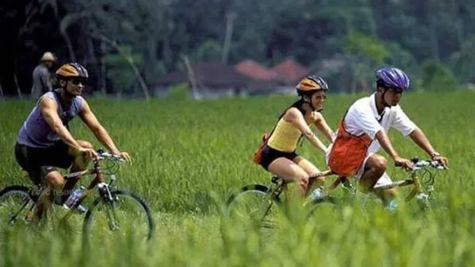 Ubud: Mountain Bike