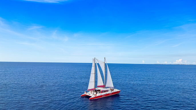 Morning Sail to Boca Catalina with BBQ Lunch