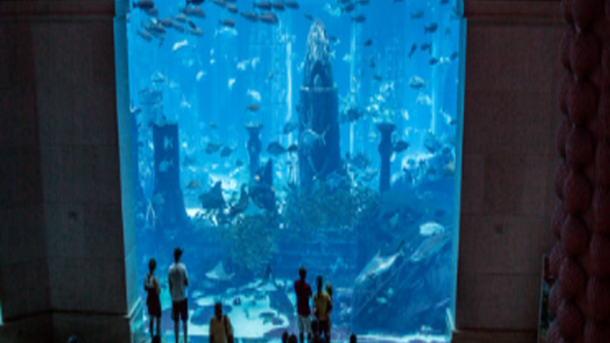 The Lost Chambers Aquarium, Atlantis The Palm – Explorer’s Atlantis Underwater Journey in Dubai