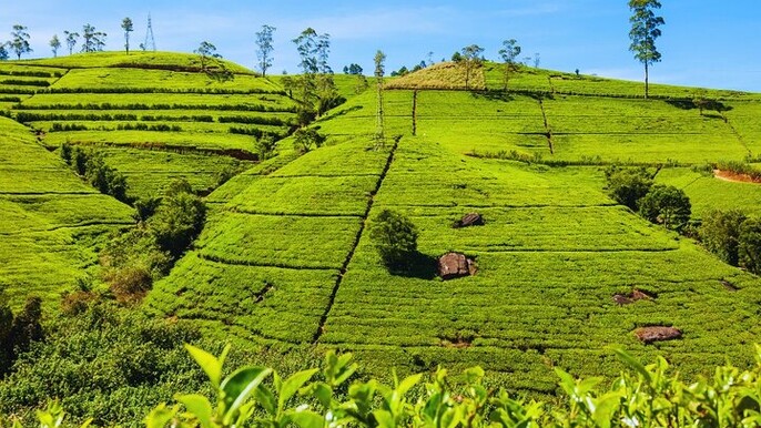 Private Tour for 3 Days (Car or Van)