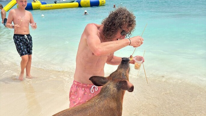 Private Island Hopping: Snorkel with Turtles and Swim with Pigs