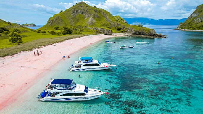 Yogyakarta to Komodo Island Adventure Tour : Borobudur Prambanan Temple Mt Bromo Sunrise & Komodo Island (Sailing Tour 3D2N)