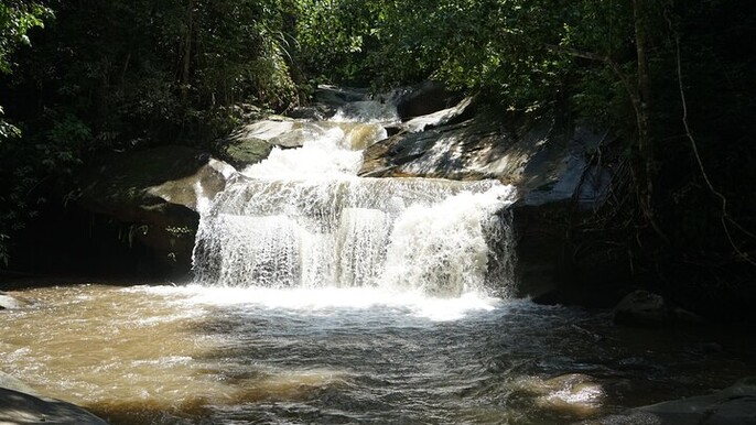 Chiang Mai Trekking Tour :Full day (no rafting)
