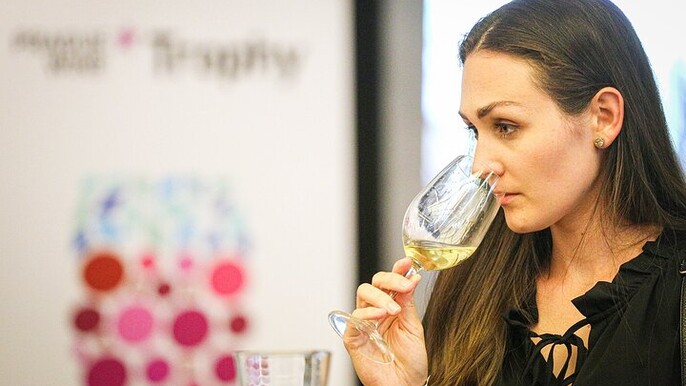 Taste of Prague: Wine Tasting Experience in Czechia