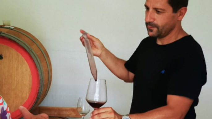 Boutique Winery Tour with Wine & Food Tasting near Cagliari