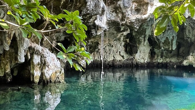 Explore Jozani Forest & Swim in the Sacred Maalum Cave