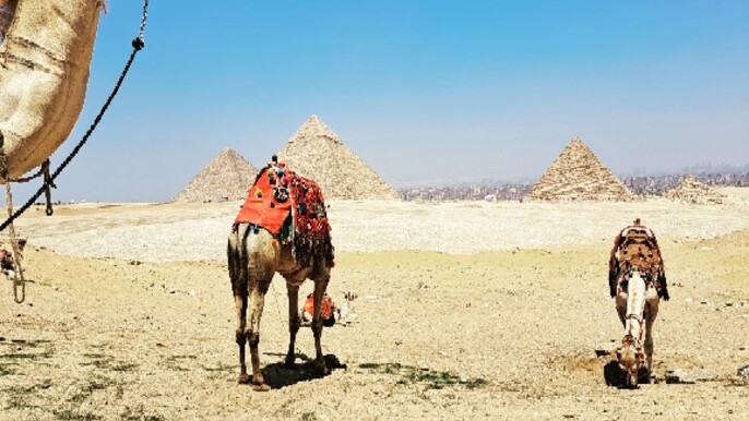 Explore Ancient Wonders: Pyramids of Giza & Saqqara