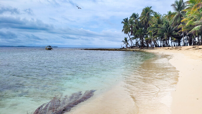 Remote Islands Day tour in San blas: Misdub, Yani and Natural pool