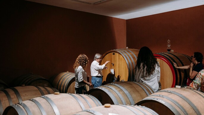 Winery Visit & Tasting on the Volcanic Slopes near Catania
