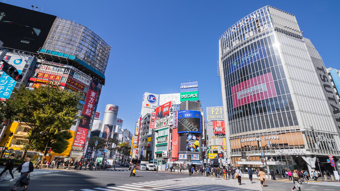 Tokyo 6 hour Tour : English Speaking Driver Only, No Guide