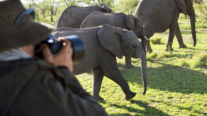 4 Days Migration Safari To Tarangire, Serengeti and Ngorongoro Crater