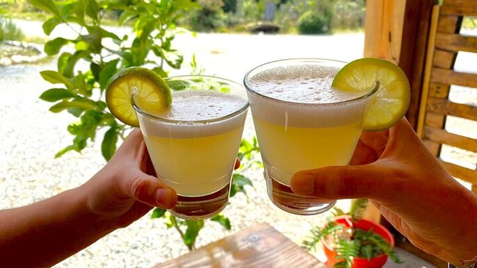 4-hour Boozy Chilean Cooking class in Santiago